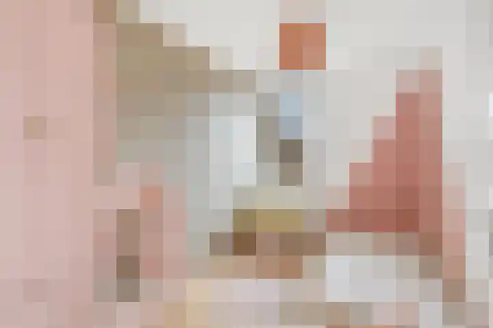 Kooiker 5 Beuningen Gld thumbnail 22