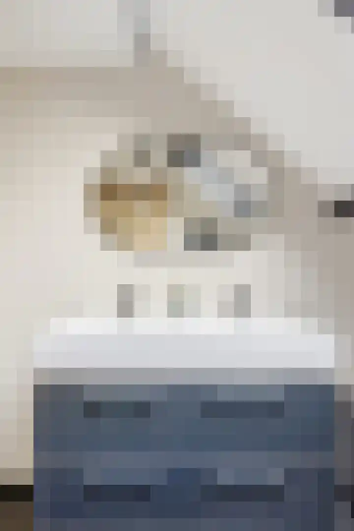 Kooiker 5 Beuningen Gld thumbnail 31