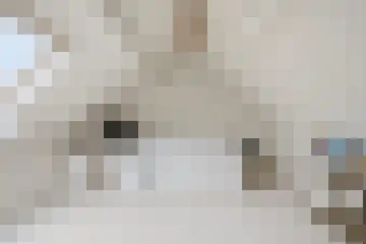 Kooiker 5 Beuningen Gld thumbnail 35