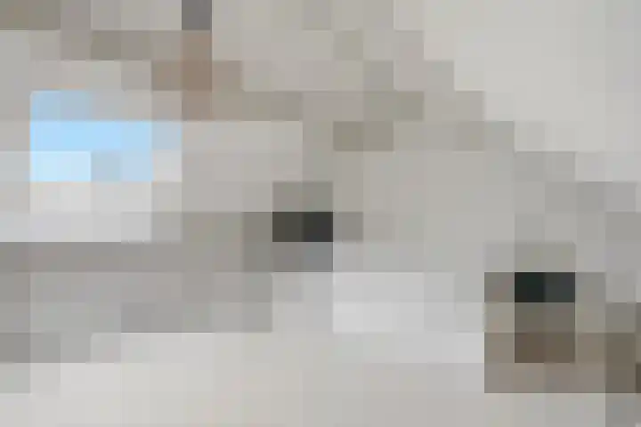Kooiker 5 Beuningen Gld thumbnail 36