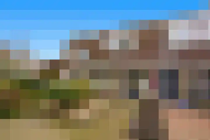 Kooiker 5 Beuningen Gld thumbnail 4