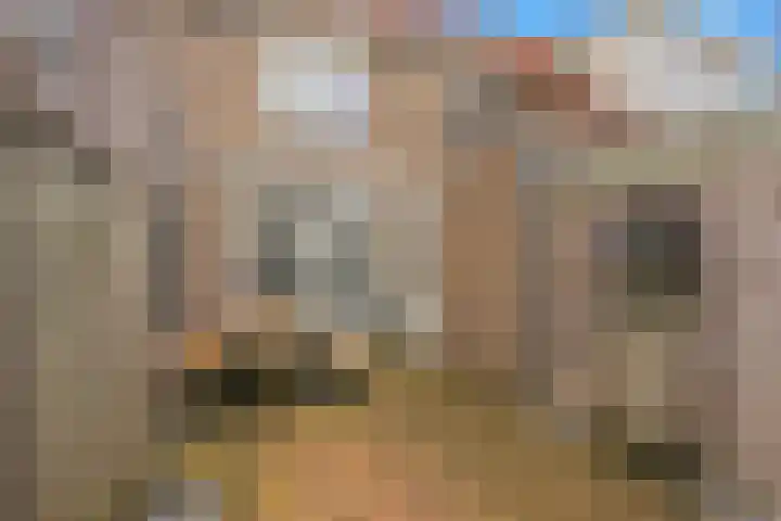 Kooiker 5 Beuningen Gld thumbnail 6