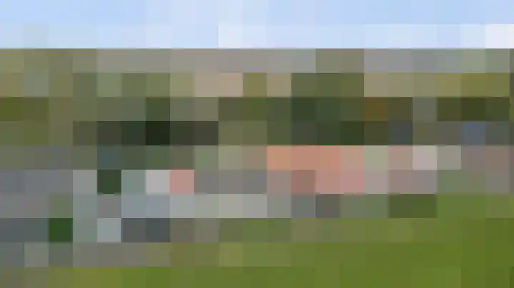 Kooilandsedijk 19 Strijen