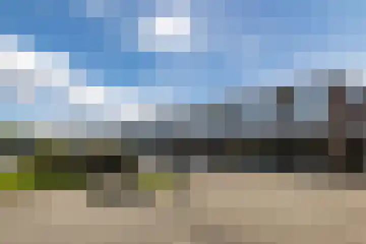 Kooiplein 12 b Castricum foto 3