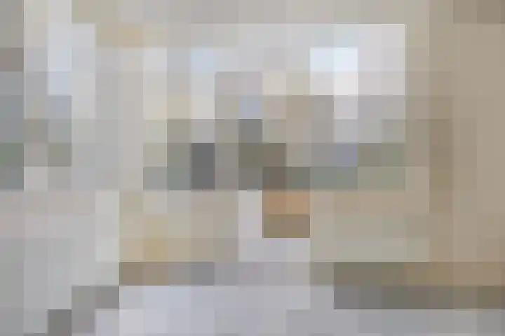 Kooistukken 27 Eelde thumbnail 10