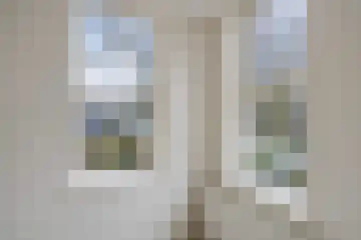 Kooistukken 27 Eelde thumbnail 19