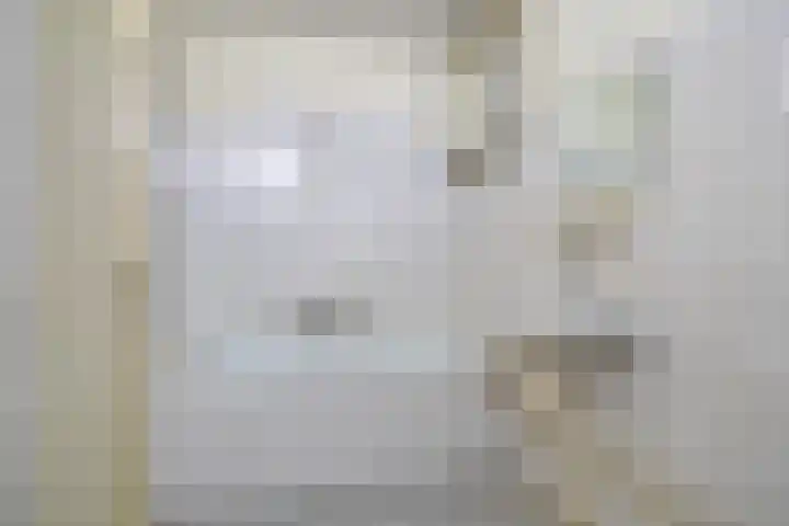 Kooistukken 27 Eelde thumbnail 20