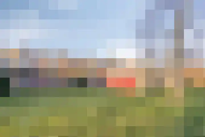 Kooistukken 27 Eelde thumbnail 26
