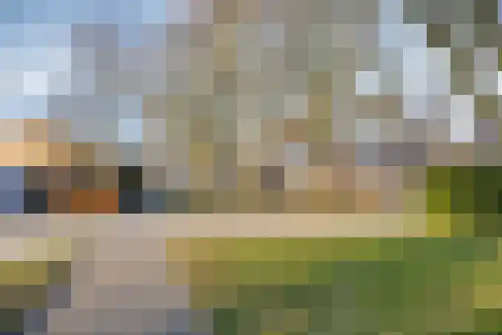 Kooistukken 27 Eelde thumbnail 30
