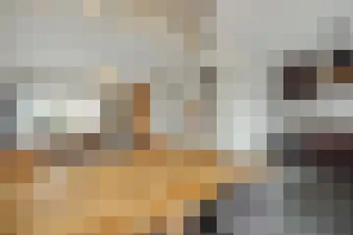 Koolakker 31 Helmond thumbnail 12
