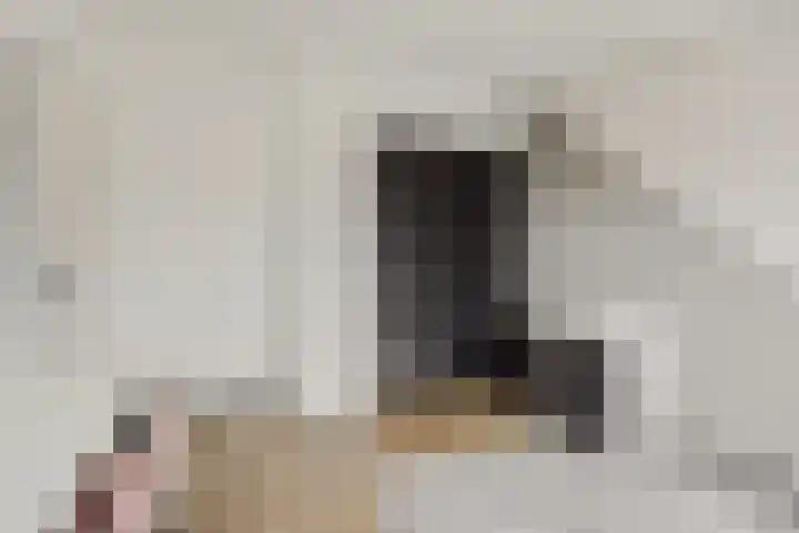 Koolakker 31 Helmond thumbnail 20