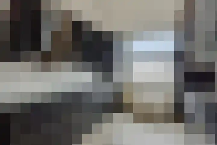 Koolakker 31 Helmond thumbnail 24