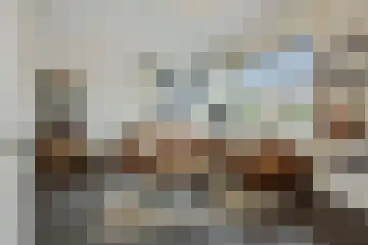 Koolakker 31 Helmond thumbnail 8