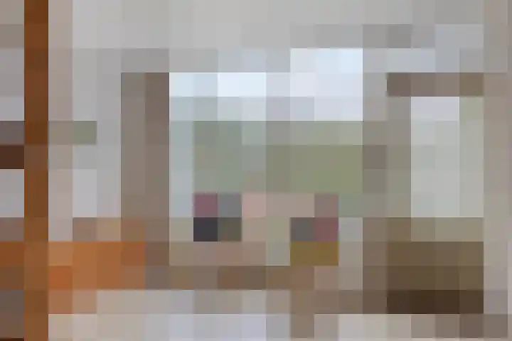 Koolenstraat 14 Oss thumbnail 12
