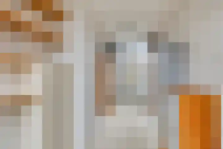 Koolenstraat 14 Oss thumbnail 19