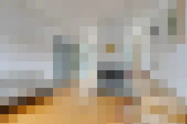 Koolenstraat 14 Oss foto 2