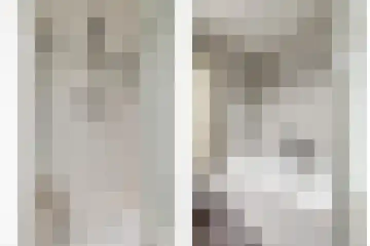 Koolenstraat 14 Oss thumbnail 20