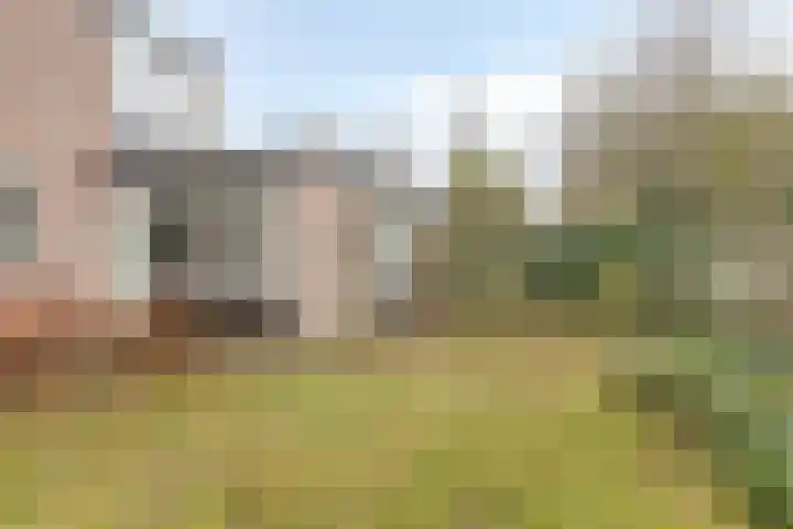 Koolenstraat 14 Oss thumbnail 23