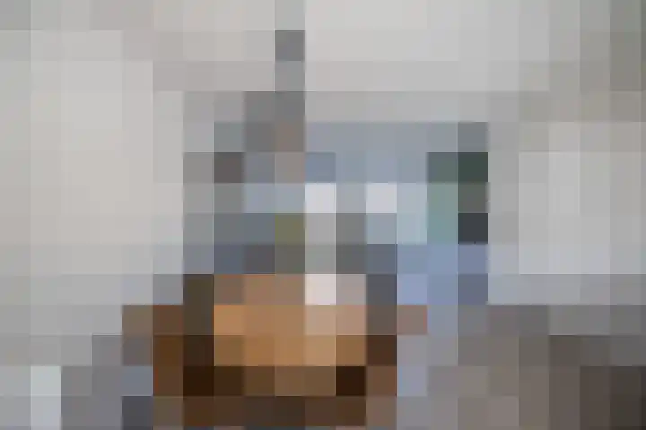 Koolenstraat 14 Oss thumbnail 28