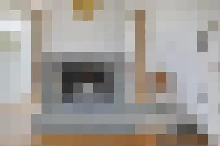 Koolenstraat 14 Oss thumbnail 5