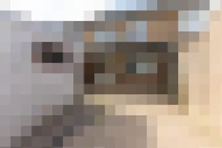 Koolenstraat 17 Geleen thumbnail 14