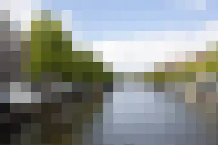 Koolgracht 21 Leiden thumbnail 27