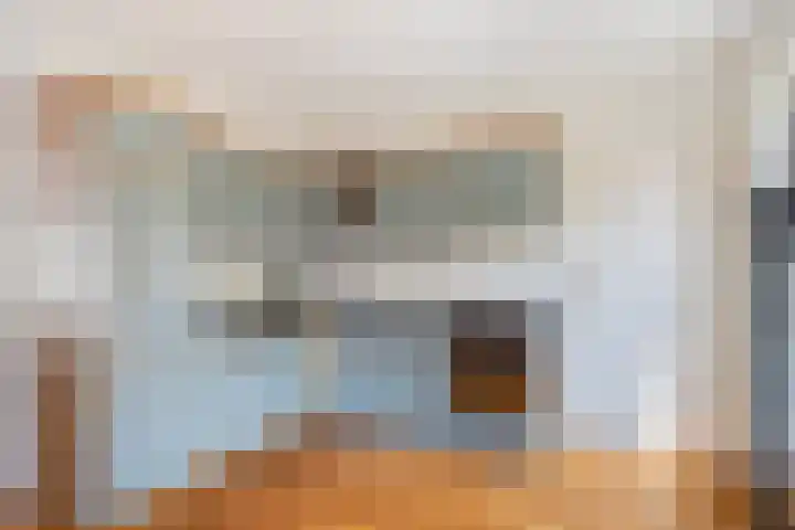 Koolhof 45 De Mortel thumbnail 15
