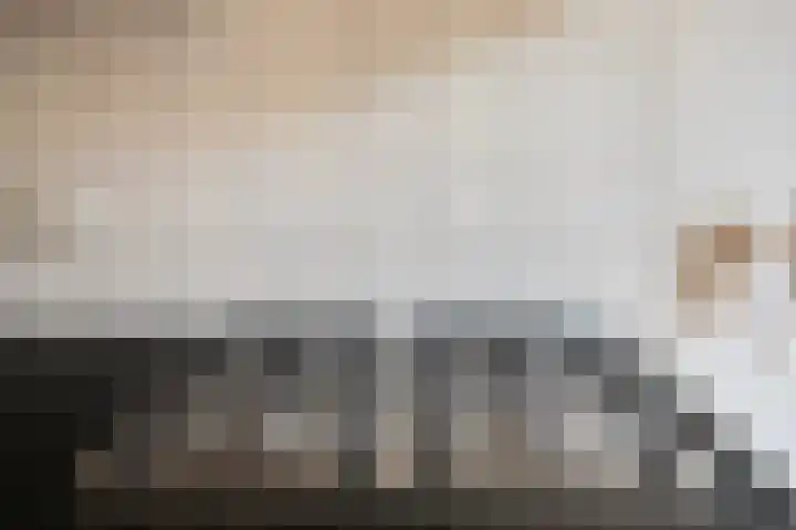 Koolhof 45 De Mortel thumbnail 17