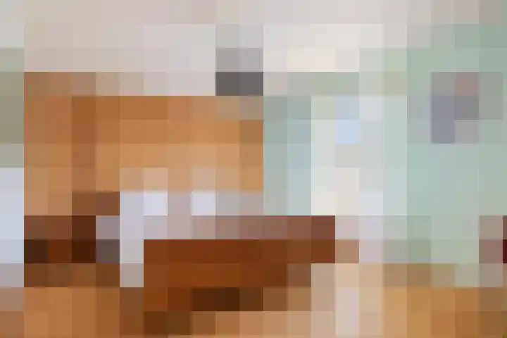 Koolhof 45 De Mortel thumbnail 27