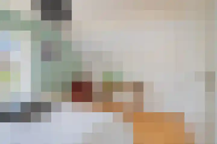 Koolhof 45 De Mortel thumbnail 28