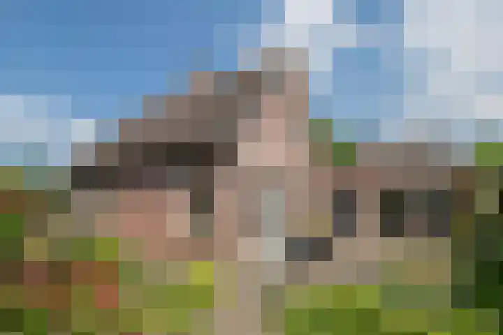 Koolhof 45 De Mortel thumbnail 33