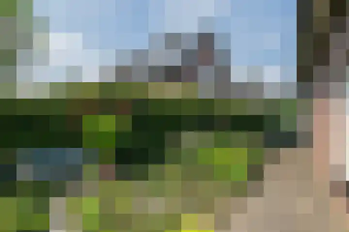 Koolhof 45 De Mortel thumbnail 34