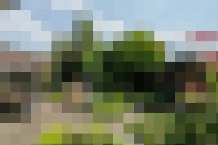 Koolhof 45 De Mortel thumbnail 35