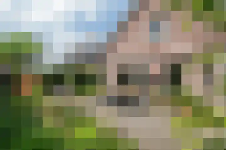 Koolhof 45 De Mortel thumbnail 37