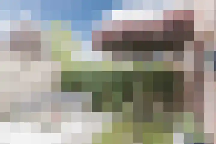 Koolhof 5 Gilze thumbnail 24