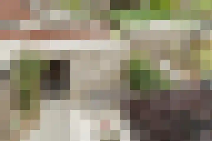 Koolhof 5 Gilze thumbnail 4