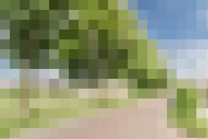 Koolhof 5 Gilze thumbnail 40