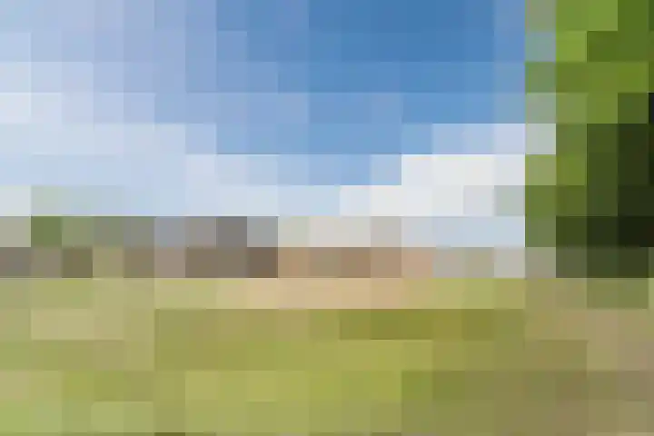 Koolhof 5 Gilze thumbnail 41