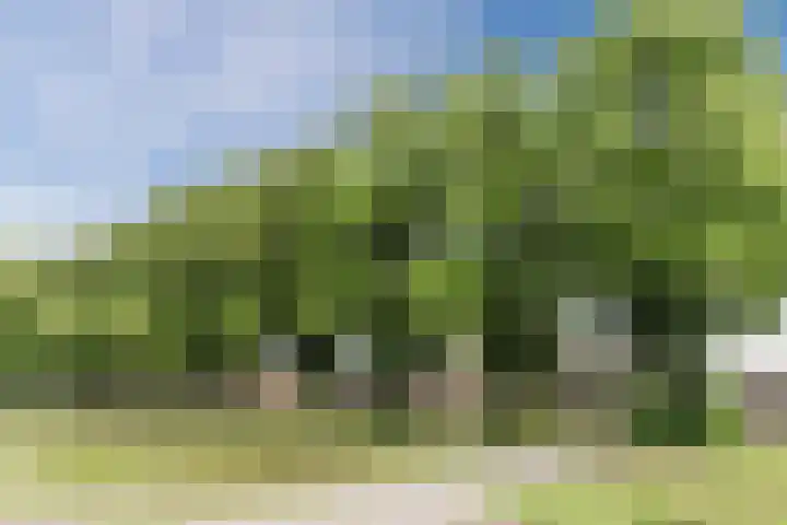 Koolhof 5 Gilze thumbnail 42