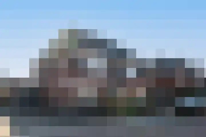 Koolmees 13 Olst