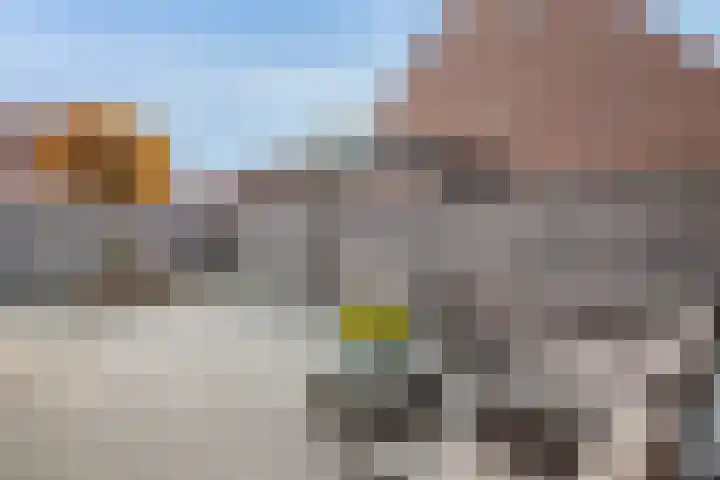 Koolmees 137 Ridderkerk thumbnail 10