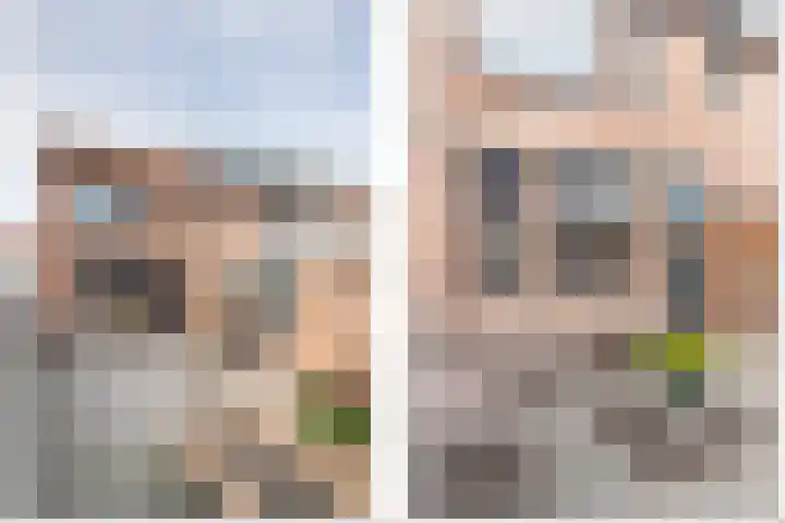 Koolmees 137 Ridderkerk thumbnail 11