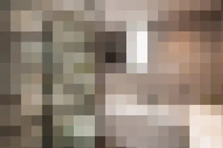 Koolmees 137 Ridderkerk thumbnail 14