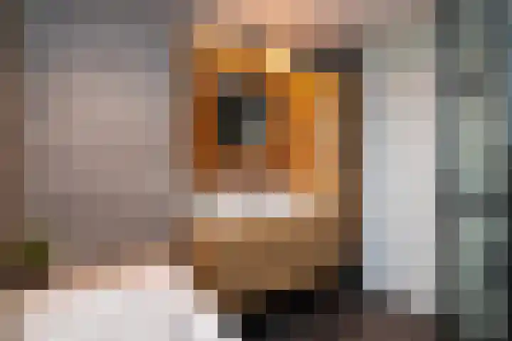 Koolmees 137 Ridderkerk thumbnail 15