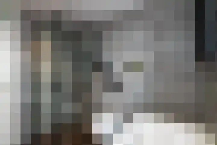 Koolmees 137 Ridderkerk thumbnail 16