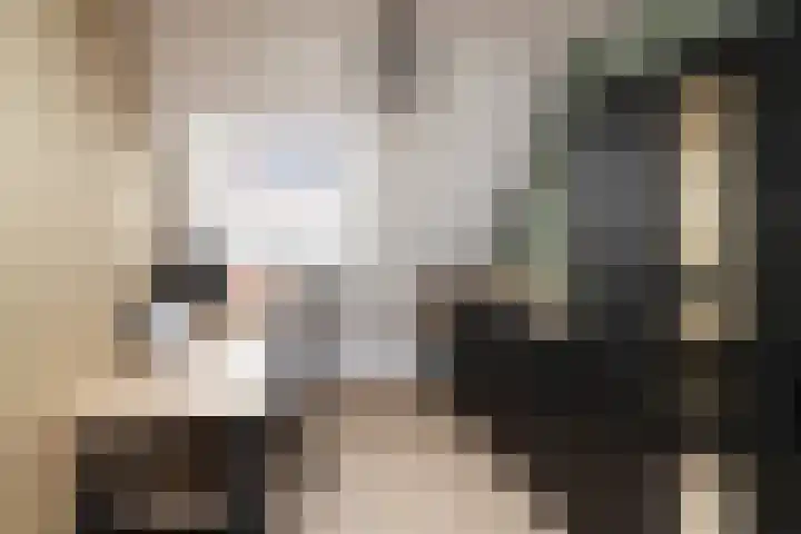 Koolmees 137 Ridderkerk thumbnail 20