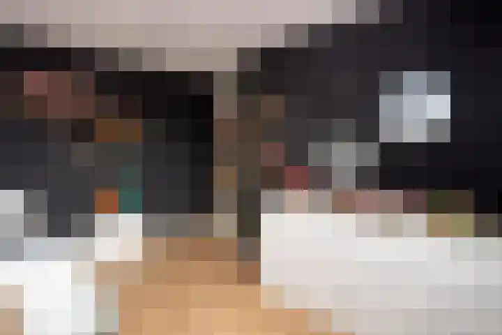 Koolmees 137 Ridderkerk thumbnail 22