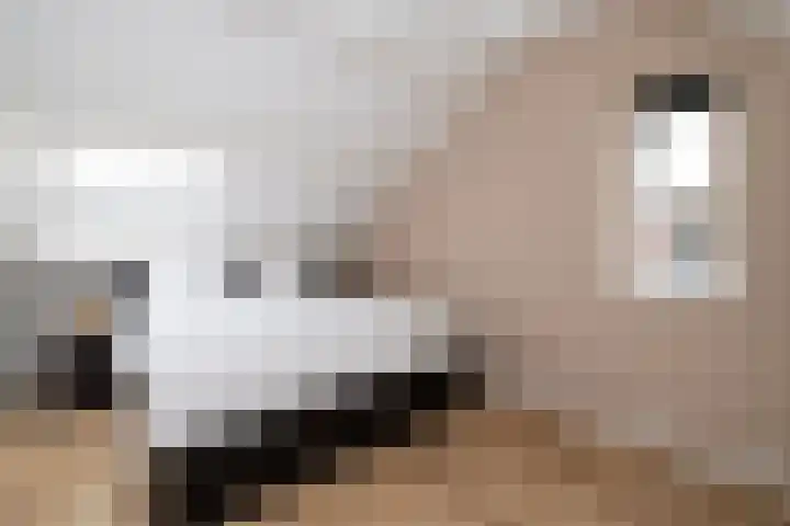 Koolmees 137 Ridderkerk thumbnail 24