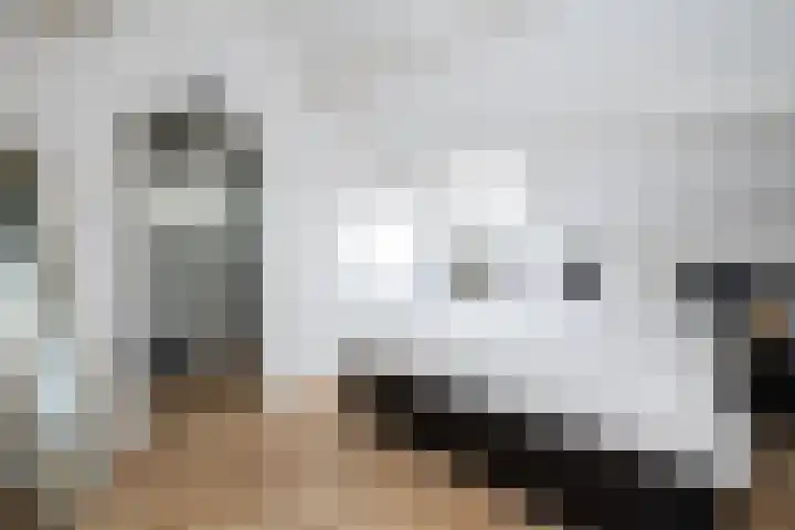 Koolmees 137 Ridderkerk thumbnail 25