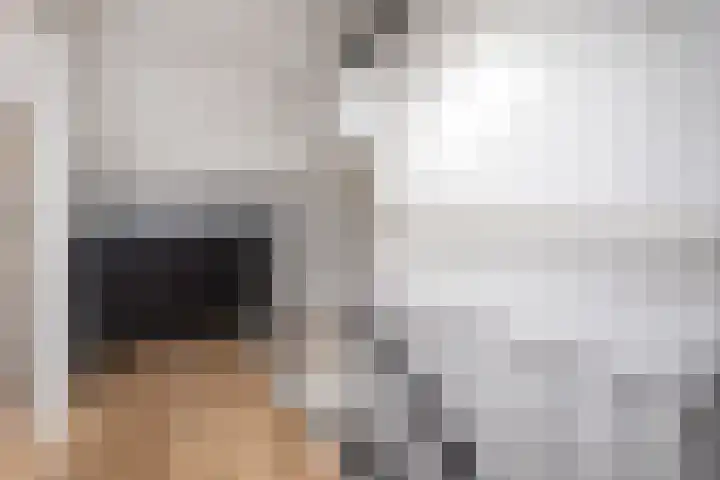 Koolmees 137 Ridderkerk thumbnail 28